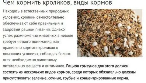 Можно кроликам давать комбикорм