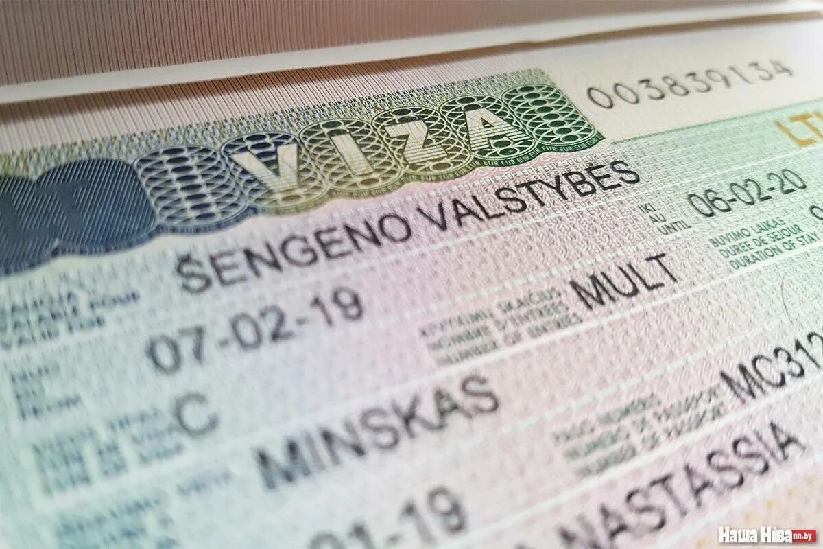 Visa them. Шенгенская виза. Виза Евросоюза. Шенген виза Евросоюз. Шенгенская виза обложка.