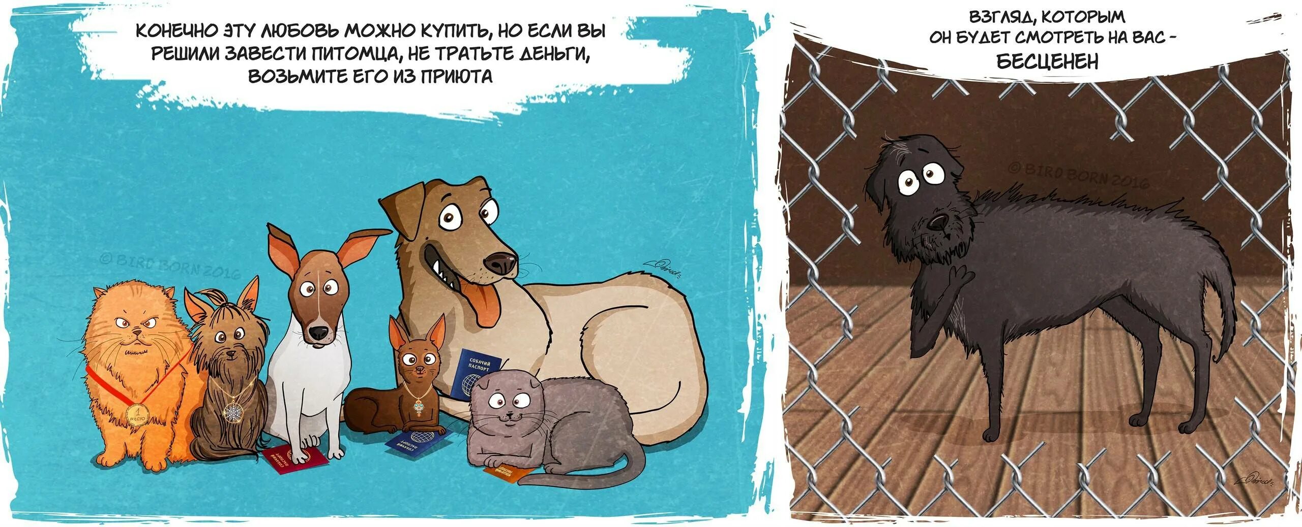 Какого питомца хочешь