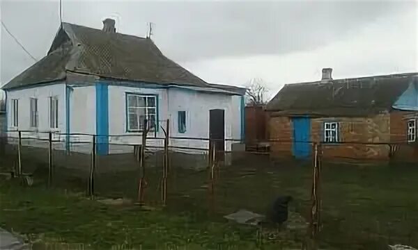 Хутор евсеевский где находится. Хутор кувичинский краснодарский край. крымский район хутор евсеевский. крымский р-н, хутор евсеевский ,. хутор троицкий краснодарский край.