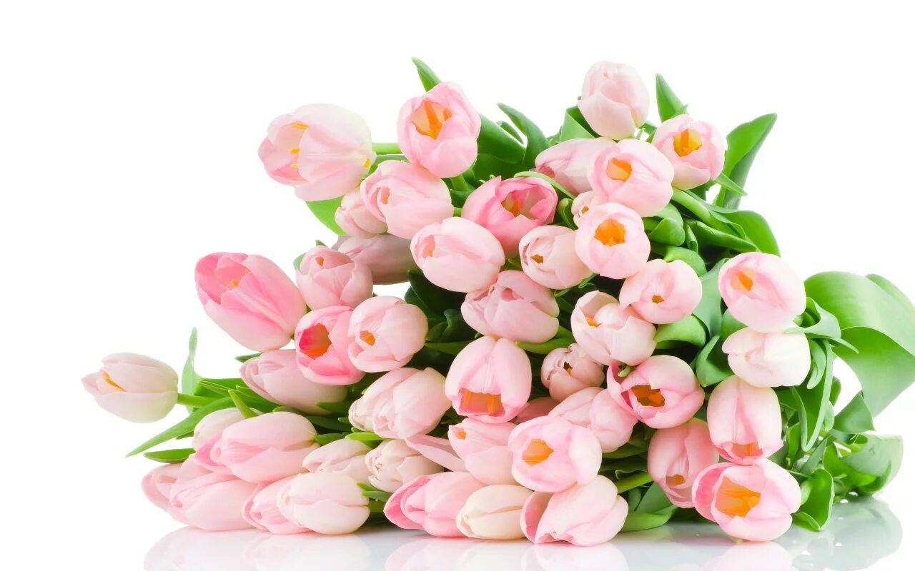 Розовые тюльпаны. Букет тюльпанов. Нежные тюльпаны. Весенний букет. Дорогие милые дамы
