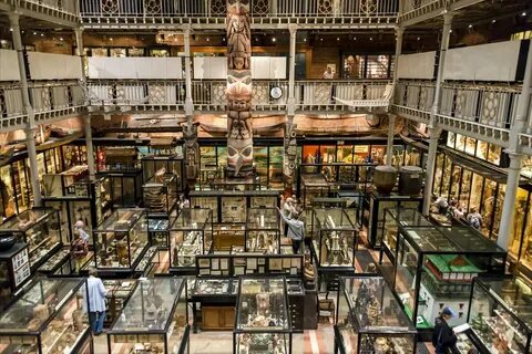 Oxford museums