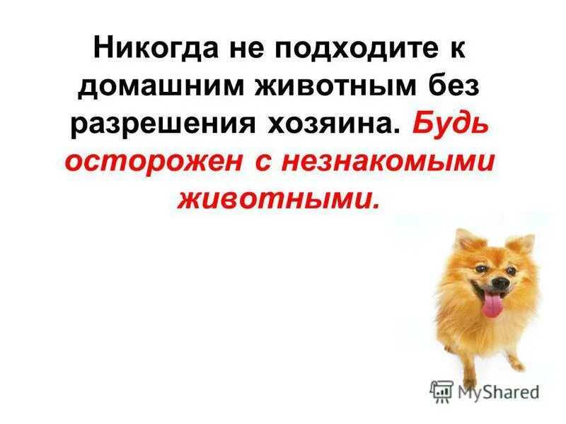 Собака в богатом доме. Без разрешения хозяина в дом. Как продать 1/4 долю в квартире без согласия других собственников. Без разрешения хозяина в дом. Расширение проема на балкон.