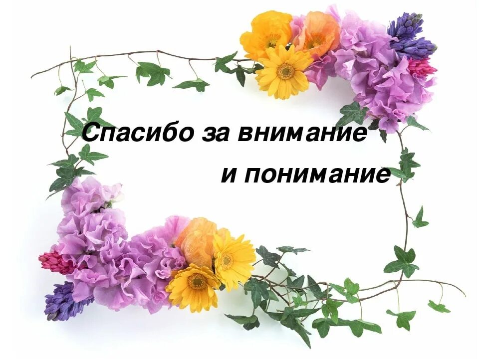 Найди слова благодарности. Спасибо за понимание. Спасибо за внимание и понимание. Спасибо за поддержку и понимание. Благодарю за внимание.