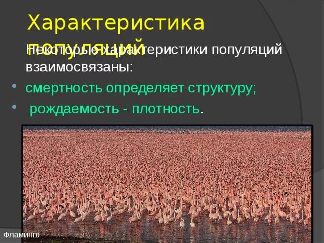 Какие свойства могут характеризовать популяцию как группу. Популяция Фламинго. Рождаемость популяции. Популяция людей фотография. Популяция как экологическая единица.