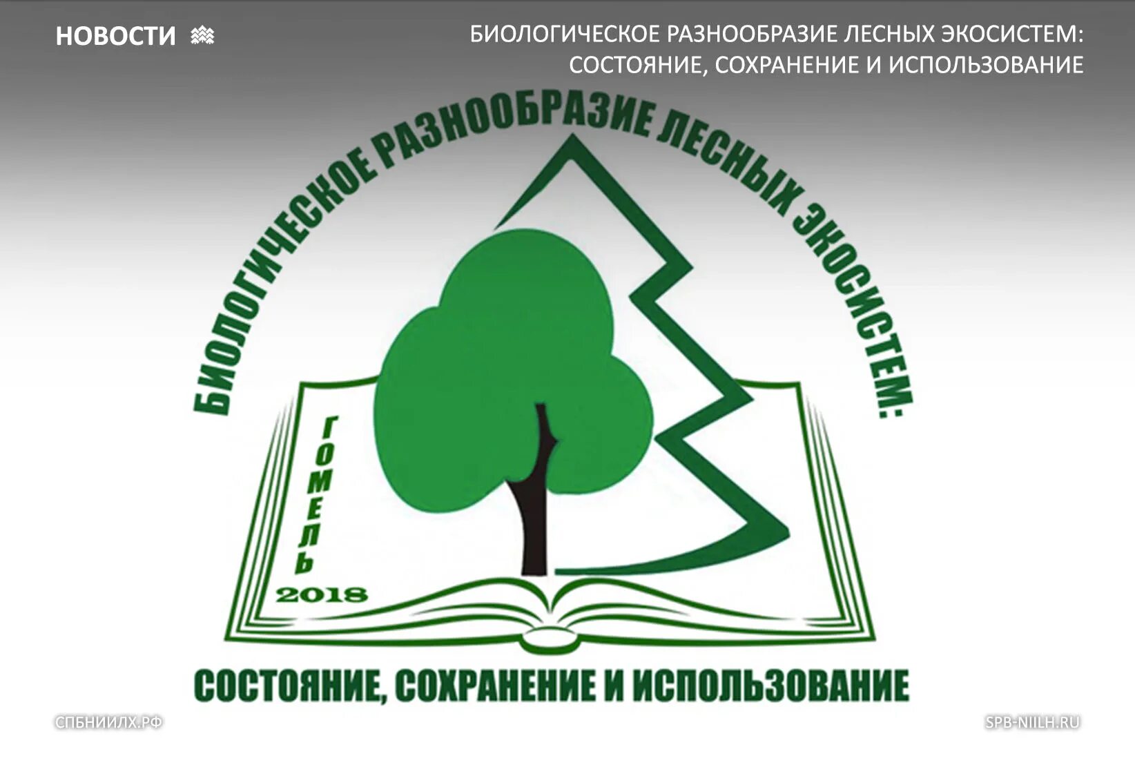 Сохранение биоразнообразия лесов. Биологическое разнообразие. биоразнообразие лесных экосистем. сохранения биологического разнообразия лесных экосистем;. национальный проект сохранение биологического разнообразия.