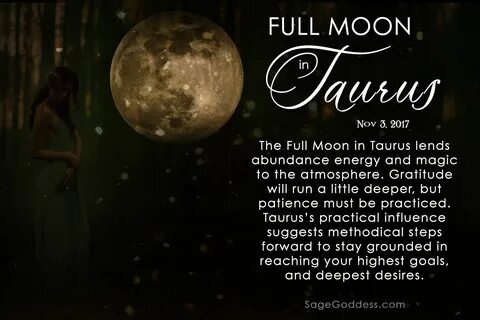 Moon перевод