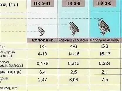 Какую траву можно давать перепелам