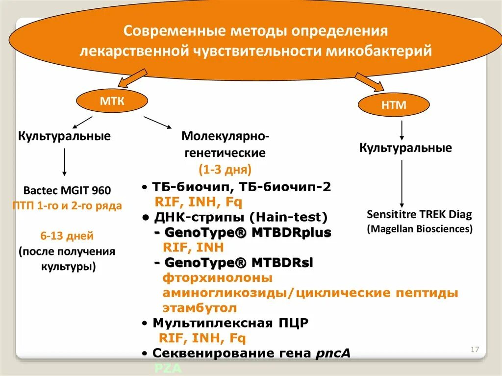 Метод установления позволяет. Лекарственная чувствительность микобактерий туберкулеза. методы обнаружения микобактерий туберкулеза. лекарственная резистентность микобактерий туберкулеза. методы определения микобактерий туберкулеза.