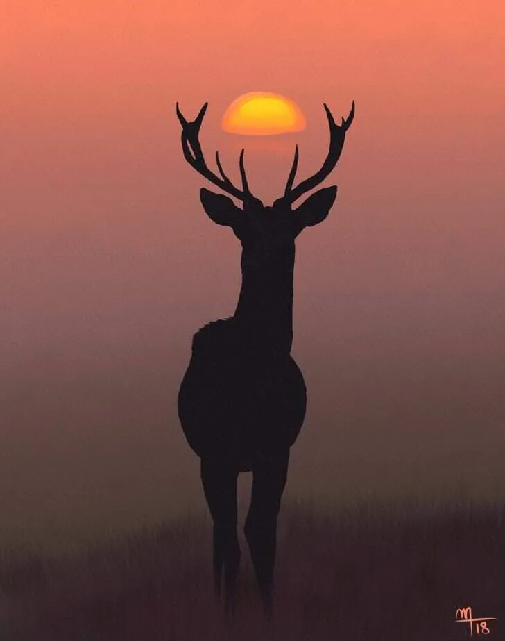Deer studio