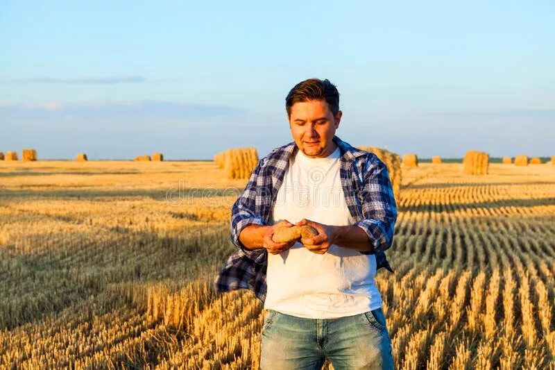 фермер с продуктами. бизнесмен сельское хозяйство. фермер бизнесмен. фермер бизнесмен. фермер на фоне поля.