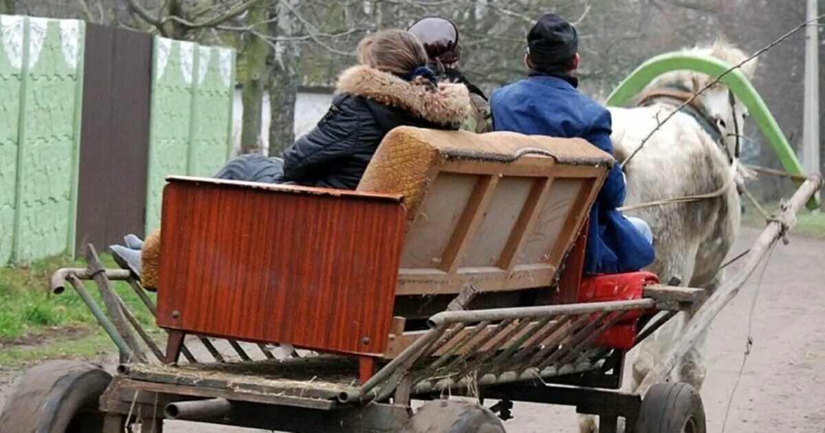 Гужевая повозка. Заблокировать человека в телеграмме. Мужик на телеге. Воз телега. Заблочили в телеге.