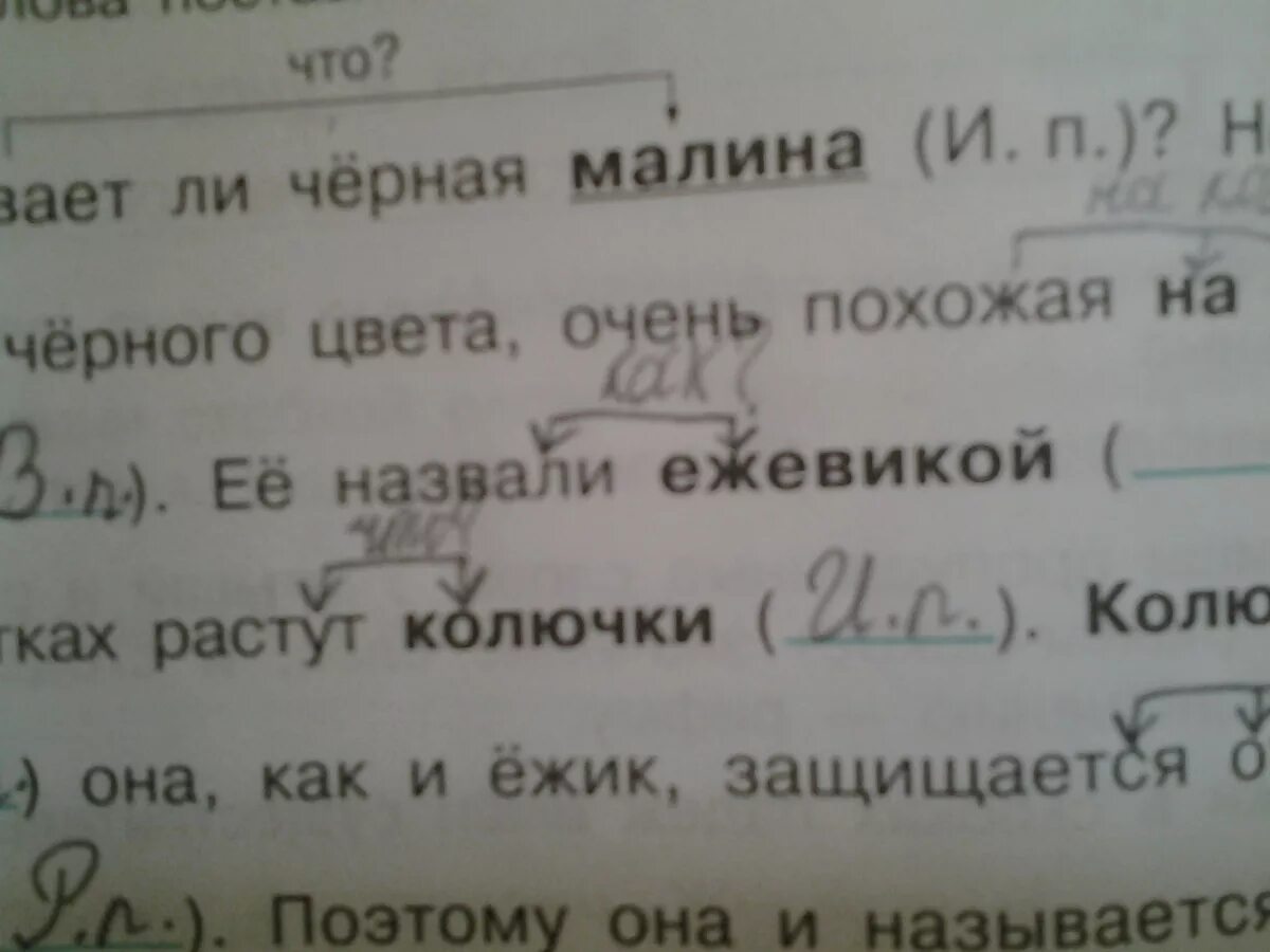 Падеж слова грибы. Падеж слова малины. Предложение со словом ежевика в родительном падеже. Определи падеж выделенных существительных ежевика. Склонять по падежам слово малина.