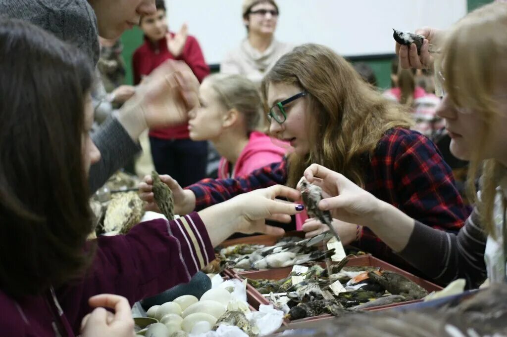 Кружок юных биологов Московского зоопарка. Кружок юных биологов зоопарка Москва. Кружок юных биологов зоопарка. Кружок для подростков. Кружок юные друзья