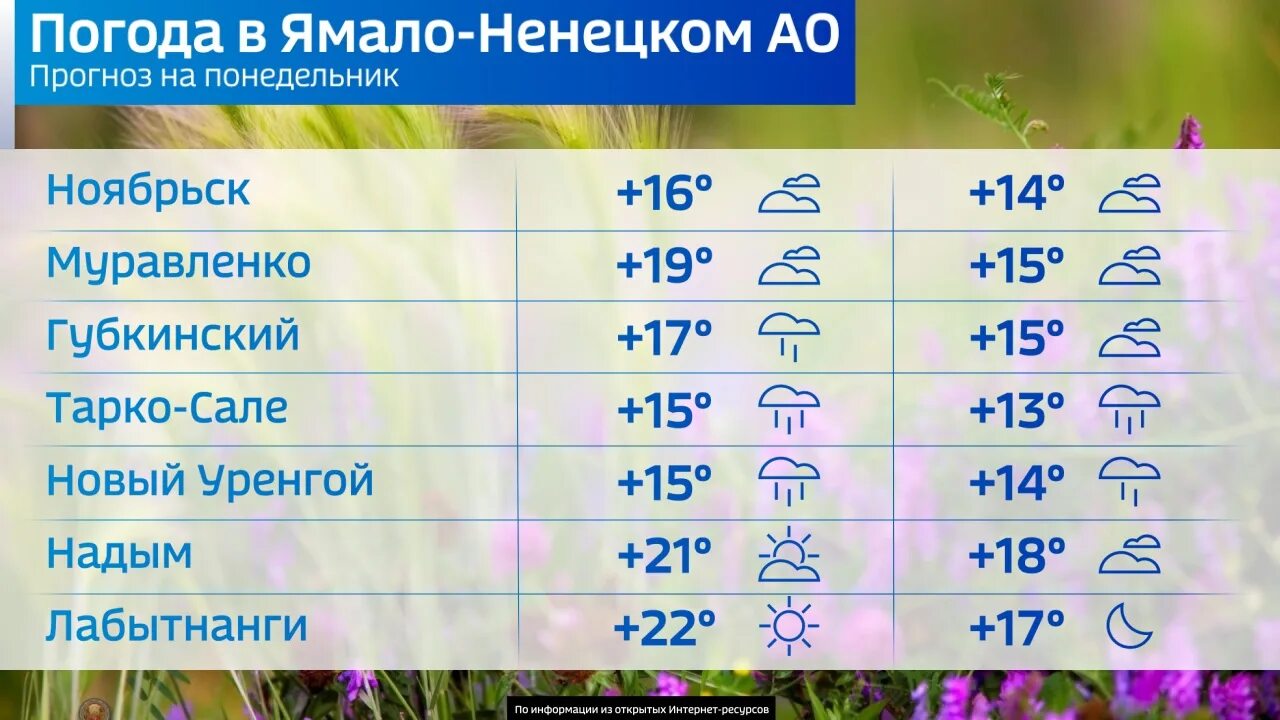 Салехард климат. Погода в Ноябрьске. Погода Салехард. Салехард погодные условия.