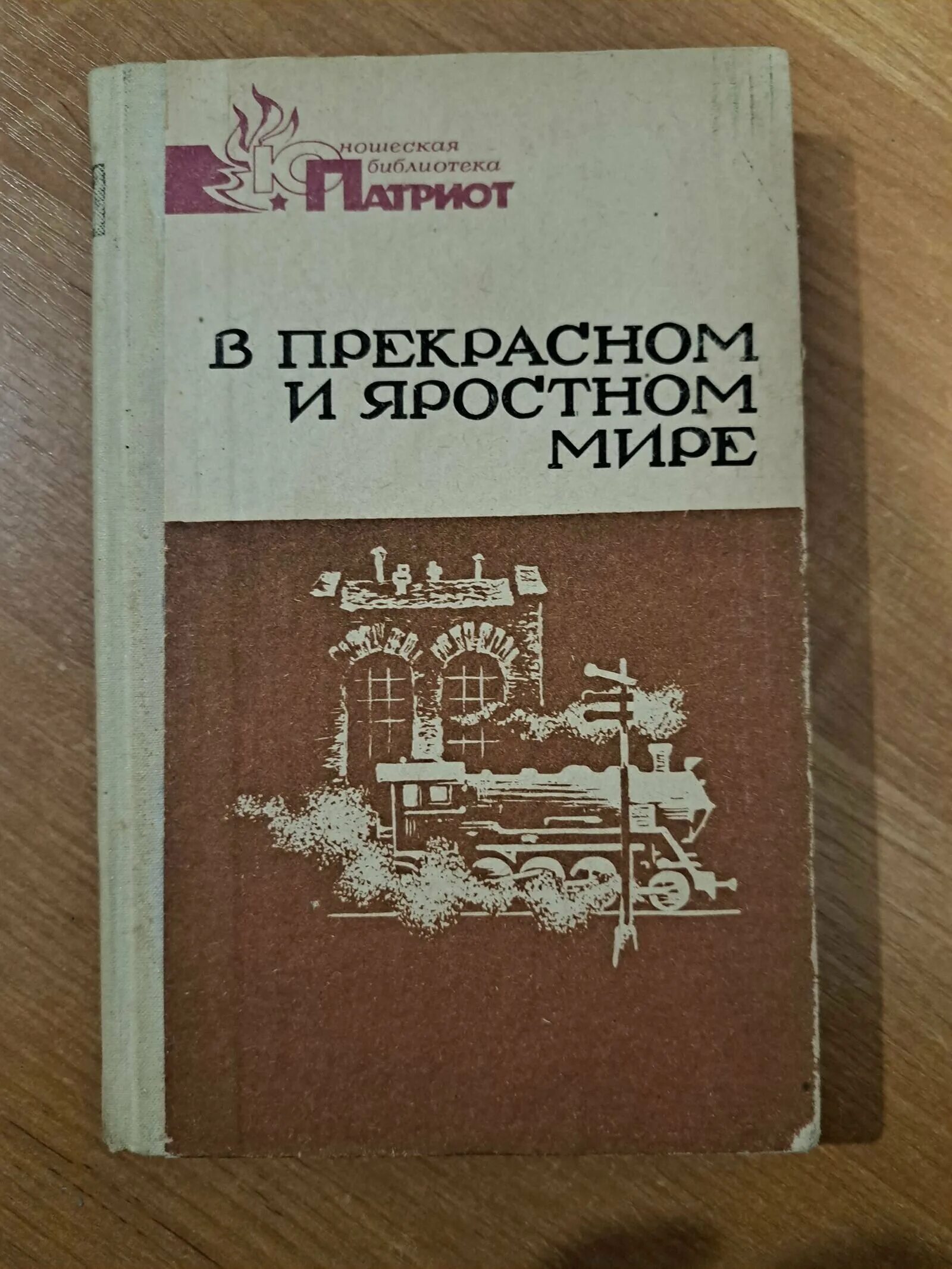 В прекрасном и яростном мире афиша рисунок. В прекрасном и яростном мире план. Платонов в прекрасном и яростном. Платонова "в прекрасном яростном мире". Прочитать в прекрасном и яростном мире.