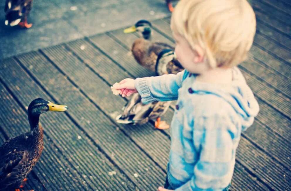 Игры, которые учат ребенка доброте. Научить ребенка добру. Учите детей быть добрыми. Памятка о воспитании детей. Детям об экологии.