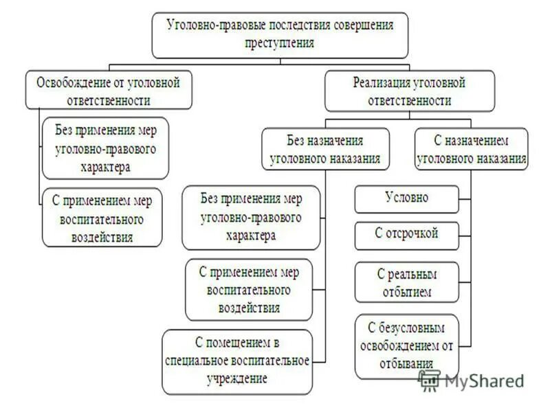 Выберите субъекты уголовной ответственности