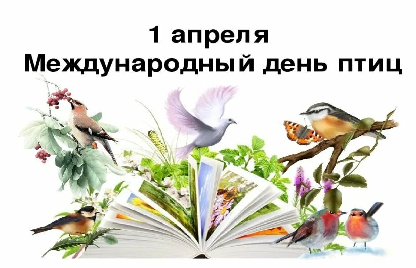 День птиц в россии 2024. День птиц. Денптицу. Международный день птиц. 1 Апреля день птиц.