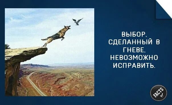 Сделанное в гневе невозможно исправить. Выбор в гневе невозможно. выбор в гневе невозможно исправить. выбор сделанный в гневе невозможно. выбор сделанный в гневе невозможно исправить.