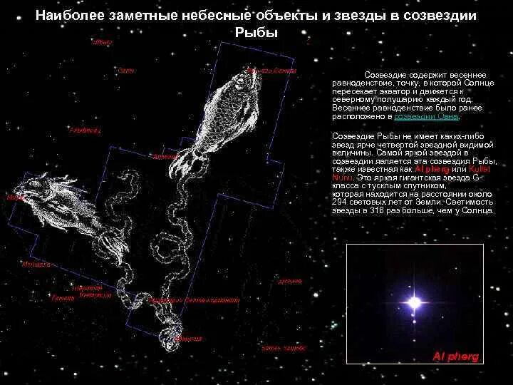 Созвездие рыбы звезды. Созвездие рыбы с названиями звезд. Самая яркая звезда в созвездии рыбы. Созвездие рыбы Альриша. Звезда Омикрон созвездия рыбы.