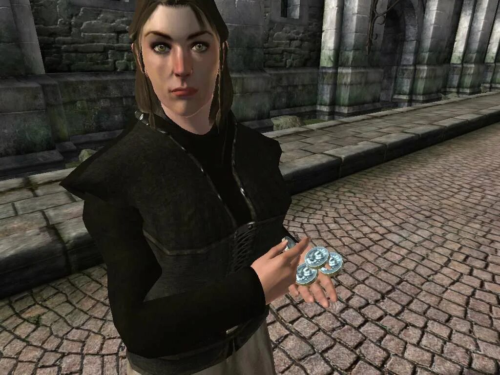 Говорящий npc. Обливион npc. сайрус обливион. мод обливион на компас. oblivion мод на npc.