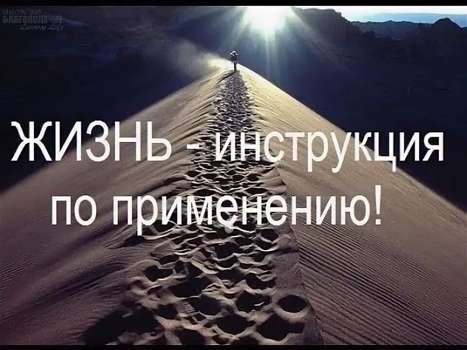 Новая жизнь руководство