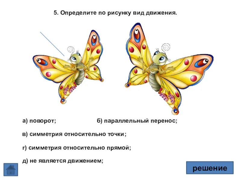 Определите по рисунку вид