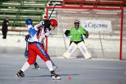 Хоккей с мячом какой вид спорта