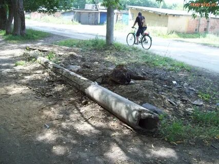 Погода в шварцевском на 14