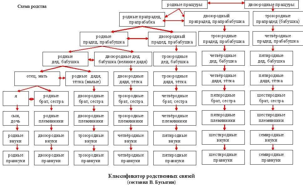 Степени родства людей. Схема родственных связей в семье. схема родственных связей двоюродных сестер. схема родства двоюродные троюродные. родственная схема кто кому приходится.
