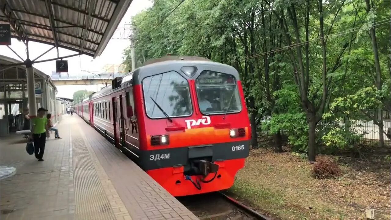 Электричка фабричная москва сегодня. Эд4м 1017. Центральная Пригородная пассажирская компания. Эд4м 444 салон. Электричка Фабричная.