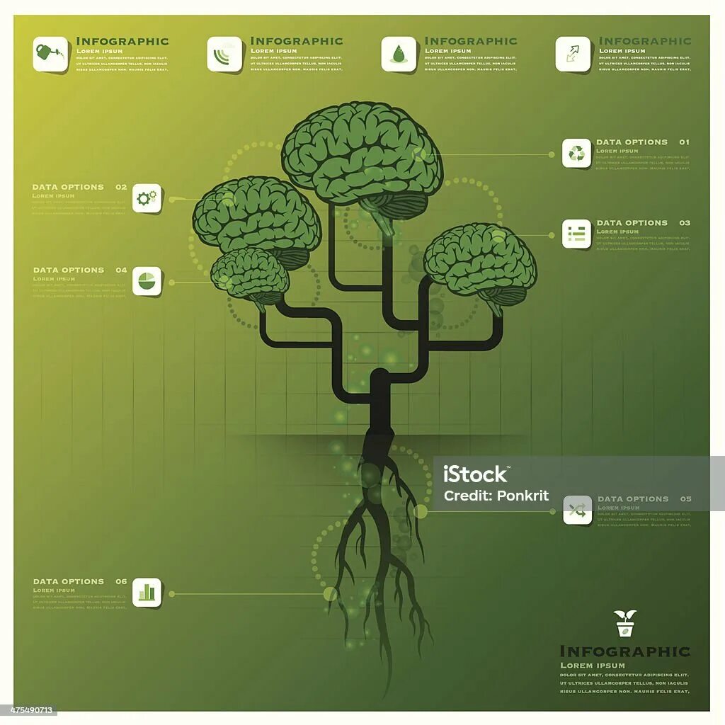 Слова с корнем мозг. Дерево инфографика. Дерево с корнями инфографика. Инфографика древесина. Дерево мозг.