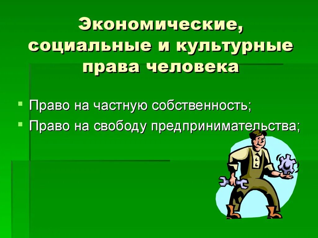 Культурные правом. Социальные и культурные права человека. Экономические, социальные и культурные права. Экономические права человека. Социально экономические права человека.