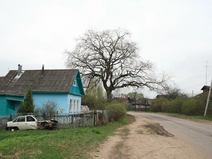 Погода в новозавидовском тверская обл. Погода в новозавидовском тверская обл. Погода в новозавидовском тверская обл. Погода в новозавидовском тверская обл. Погода в новозавидовском тверская обл.