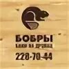 Бобры красноярск