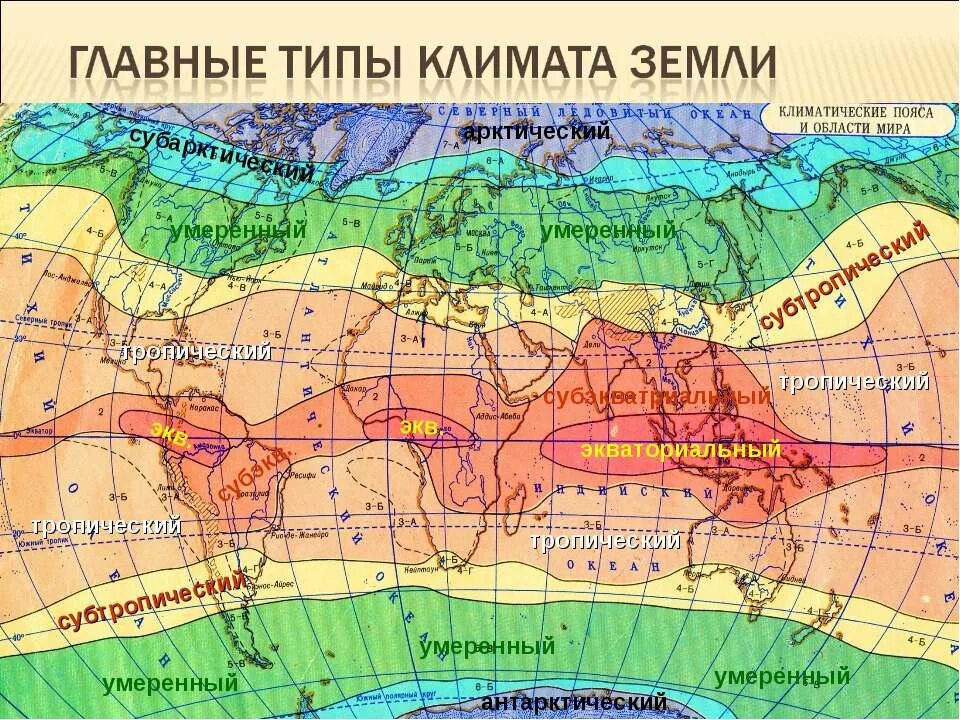Подпишите все разновидности умеренного