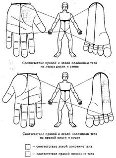 Левая половина тела