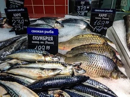 Дисконт рыба
