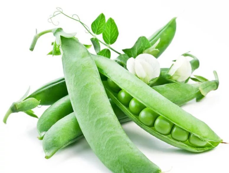 Peas слово