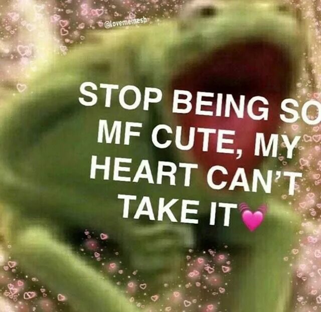 My love meme. Сердечко мем. Why love me. My heart is so full of you фф. Любовь мем.