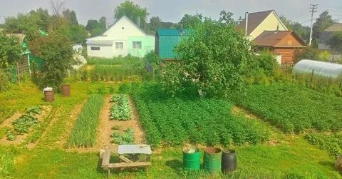 Дача село садовое