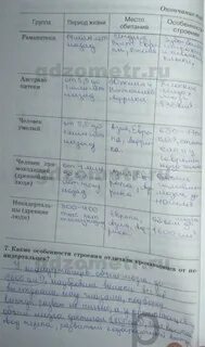 Решеба по человеку