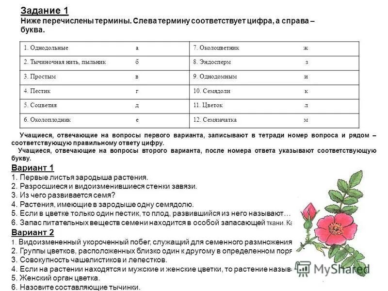 Тест по теме соцветия 6 класс. Тест по теме цветок соцветие плод вариант 2. строение цветка проверочная работа. проверочная работа по биологии органы растений. контрольная по теме растение.