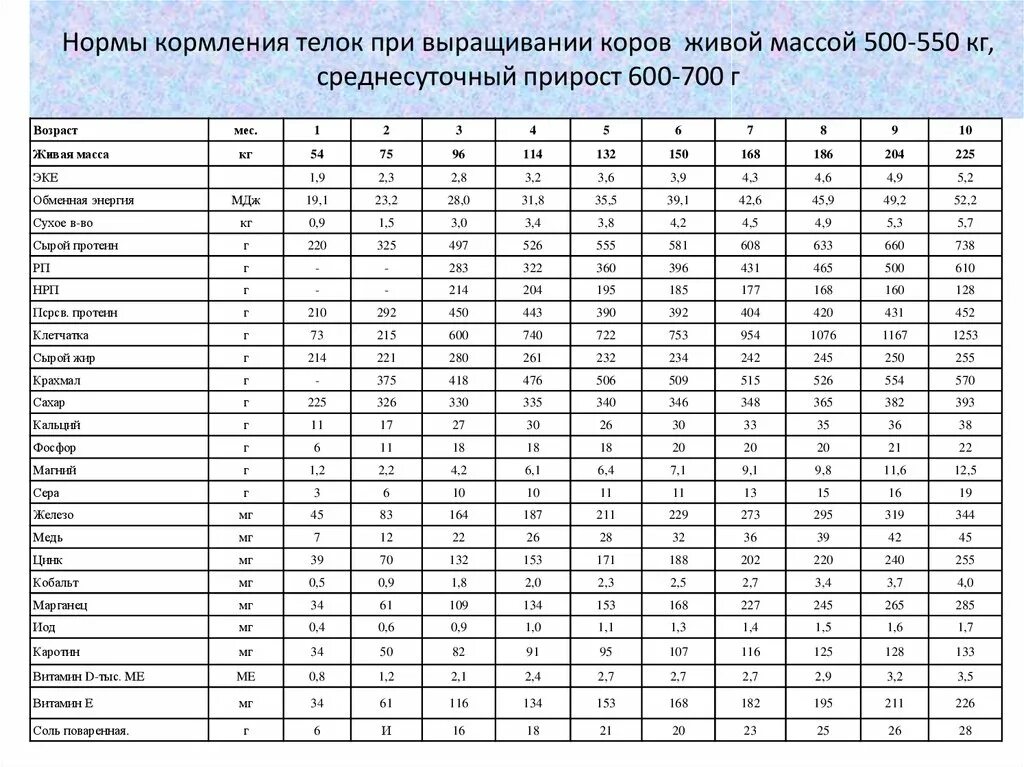 Нормы кормления коров 550 кг. Нормы кормления дойных коров 500 кг. Нормы кормления коров массой 500 кг. Нормы кормления лактирующих коров 600 кг. Прирост теленка