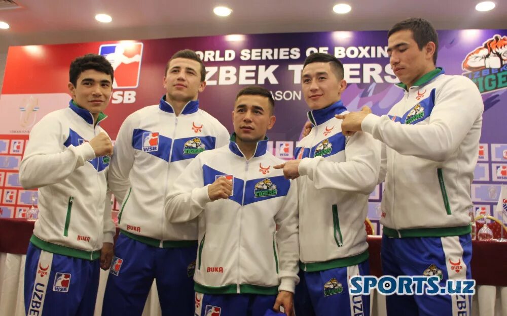 O zbek tigers. O zbek tigers. Тигр боец эмблема. O zbek tigers. Uzbek taygers.