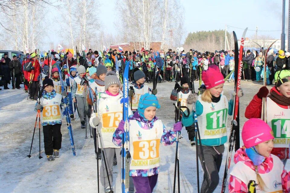 Лыжня пашино 2024