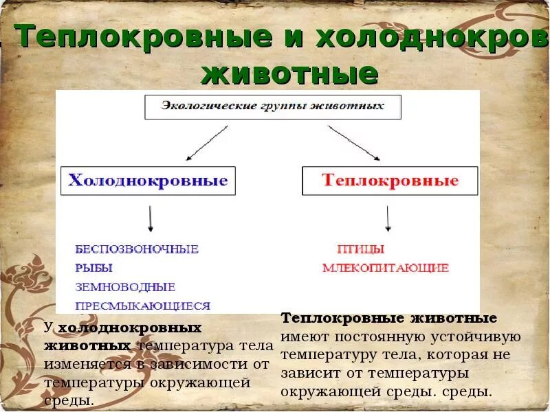 Теплокровные и холоднокровные. Хладнокровные и теплокровные животные. Теплоертвные и холодно. Теплокровные и холоднокровные животные примеры.