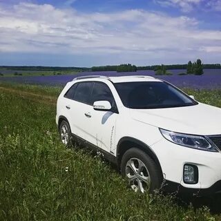 Sorento xm fl