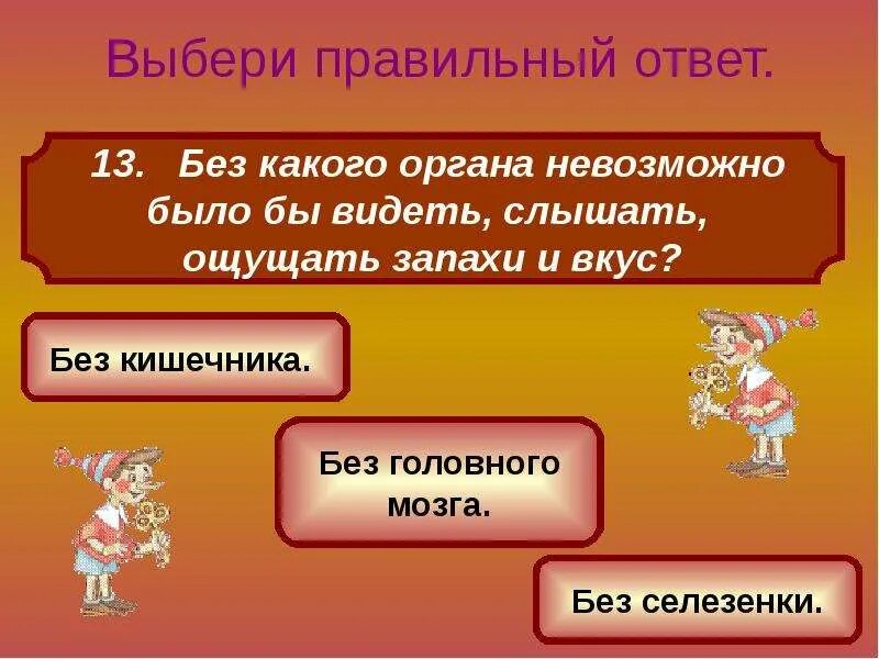 Обоняние и вкус. Запах слышат или чувствуют. Ощущение запаха. Чувствую разные запахи которых нет. Маски воз.